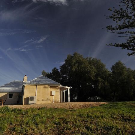 Peppermint Farm Cottage Mclaren Vale Ngoại thất bức ảnh